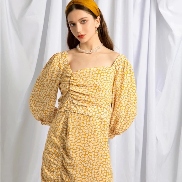 NWT Petite Studio Roxy dress xs - Picture 5 of 5